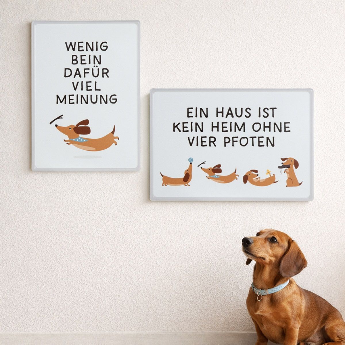 Gilde-Schild-Detlef-Dackel-63670 Gilde Schild Detlef Dackel 63670